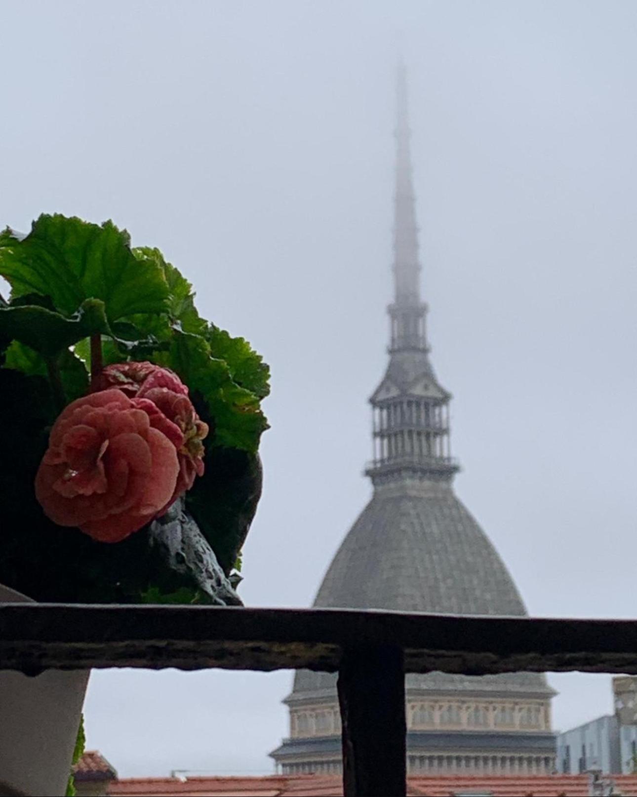 Le Finestre Sulla Mole Apartment Turin Bagian luar foto